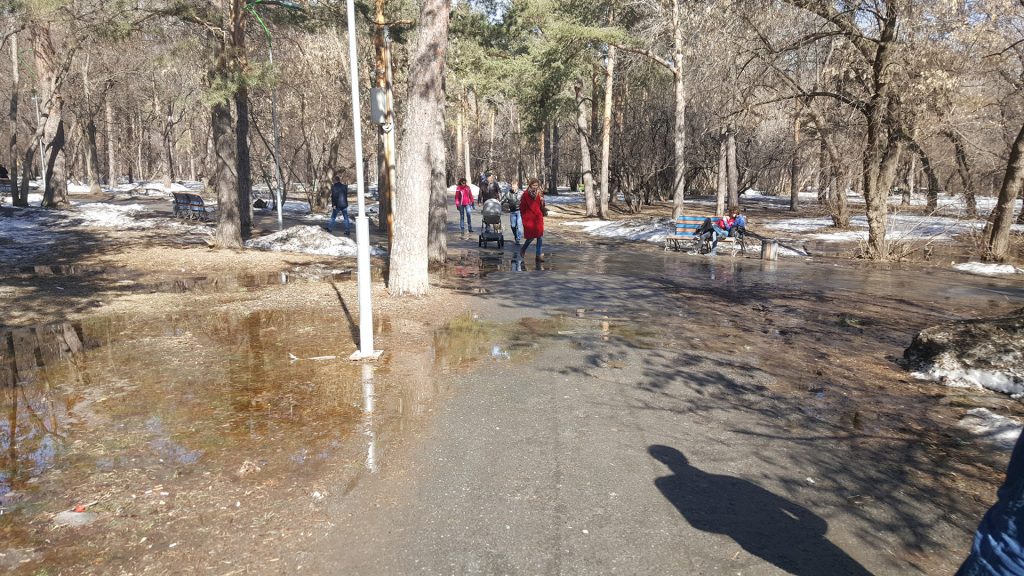 Дорожки препятствуют стоку воды, в результате чего образуются лужи.