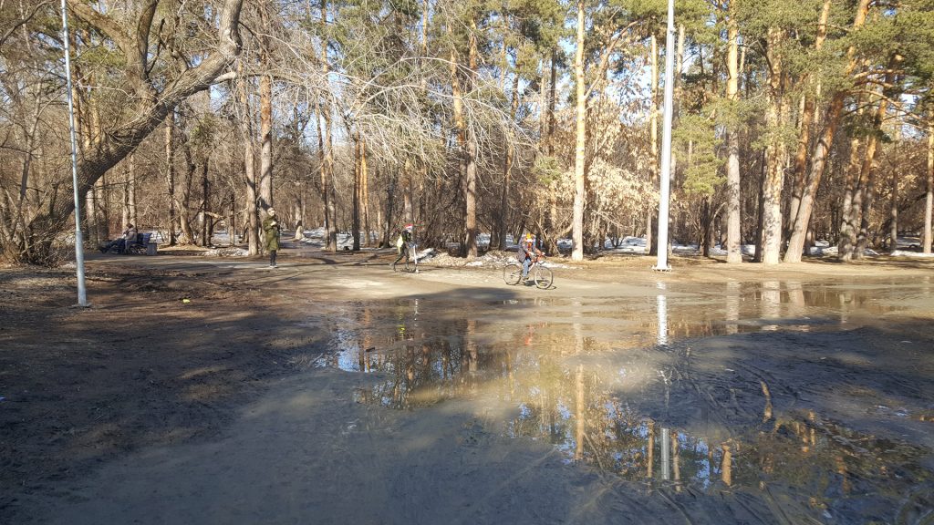 Талая вода стекает из леса на стадион.